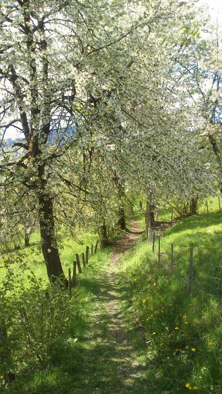 Ferienwohnung Haus Rosenegg Brixen im Thale Exterior foto